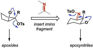 Graphical abstract: Iminologous epoxide ring-closure