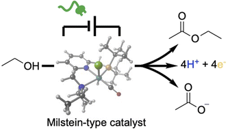 Graphical abstract: Electrification of a Milstein-type catalyst for alcohol reformation