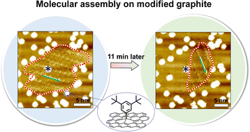 Graphical abstract: Defect-engineered surfaces to investigate the formation of self-assembled molecular networks