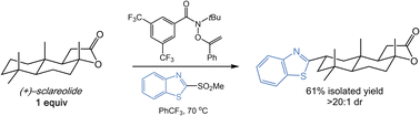 Graphical abstract: Heteroarylation of unactivated C–H bonds suitable for late-stage functionalization
