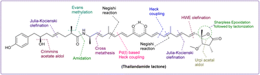 Graphical abstract: Total synthesis of the antibacterial polyketide natural product thailandamide lactone