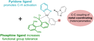 Graphical abstract: Dual ligand approach increases functional group tolerance in the Pd-catalysed C–H arylation of N-heterocyclic pharmaceuticals