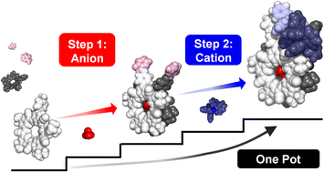 Graphical abstract: Orthogonal, modular anion–cation and cation–anion self-assembly using pre-programmed anion binding sites