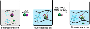 Graphical abstract: Fluorescent copolymer aggregate sensor for lithium chloride