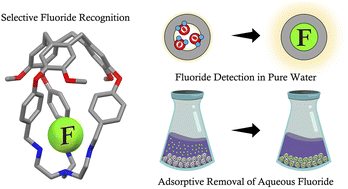 Graphical abstract: Turn-on fluorescent capsule for selective fluoride detection and water purification