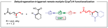 Graphical abstract: Multiple remote C(sp3)–H functionalizations of aliphatic ketones via bimetallic Cu–Pd catalyzed successive dehydrogenation
