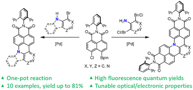 Graphical abstract: Nitrogen-doped polycyclic aromatic hydrocarbons by a one-pot Suzuki coupling/intramolecular SNAr reaction