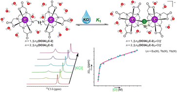 Graphical abstract: Chelating chloride using binuclear lanthanide complexes in water