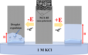 Graphical abstract: Hydrophobic nanoporous carbon scaffolds reveal the origin of polarity-dependent electrocapillary imbibition