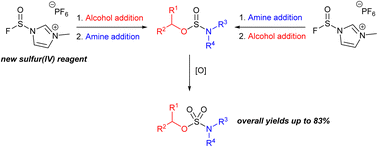 Graphical abstract: Sulfur(iv) reagents for the SuFEx-based synthesis of substituted sulfamate esters