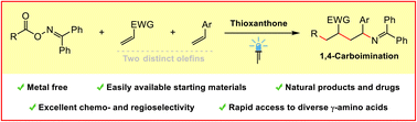 Graphical abstract: Metal-free photosensitized radical relay 1,4-carboimination across two distinct olefins