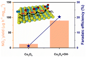 Graphical abstract: Free radicals promote electrocatalytic nitrogen oxidation
