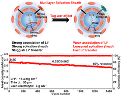 Graphical abstract: A “tug-of-war” effect tunes Li-ion transport and enhances the rate capability of lithium metal batteries