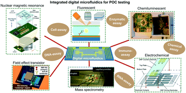 Graphical abstract: Advances in integrated digital microfluidic platforms for point-of-care diagnosis: a review