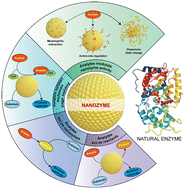 Graphical abstract: Recent progress in nanozyme-based sensors for ion detection: strategies, trends, and challenges