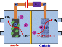 Graphical abstract: Ru doped CoP nanosheets for efficient hydrogen evolution in microbial electrolysis cells