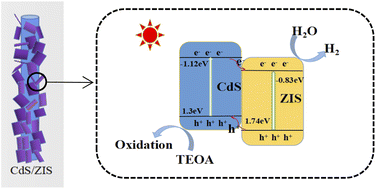 Graphical abstract: CdS/ZnIn2S4 type II heterojunctions improve photocatalytic hydrogen production: faster electron–hole separation and wider visible light utilization
