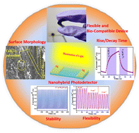 Graphical abstract: CuBi2O4 nanocrystals integrated with polyaniline nanobelt arrays for weak light photomultiplication type photodetector