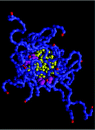Graphical abstract: Coarse-grained molecular dynamics simulations of immobilized micelle systems and their interactions with hydrophobic molecules