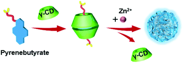 Graphical abstract: Cyclodextrin-catalyzed self-assembly of a coordinating fluorescent molecule into microflowers