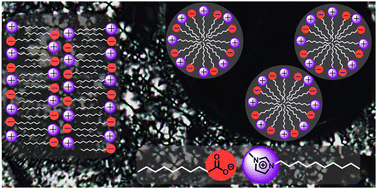Graphical abstract: N-Alkylimidazolium carboxylates as a new type of catanionic surface active ionic liquid: synthesis, thermotropic behavior and micellization in water