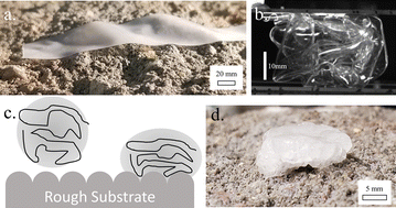 Graphical abstract: Roughness tolerant pressure sensitive adhesives made of sticky crumpled sheets