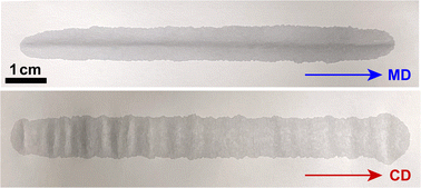 Graphical abstract: Transient deformation and swelling of paper by aqueous co-solvent solutions
