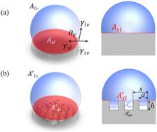 Graphical abstract: Estimation of surface free energy at microstructured surface to investigate intermediate wetting state for partial wetting model