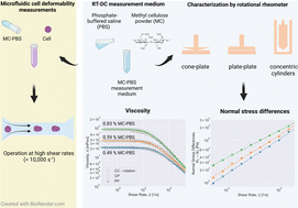 Graphical abstract: Shear rheology of methyl cellulose based solutions for cell mechanical measurements at high shear rates