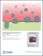 Graphical abstract: Back cover