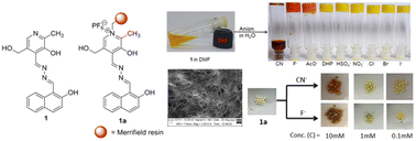 Graphical abstract: A new pyridoxal-derived gelator for selective recognition of CN− and F− under different conditions