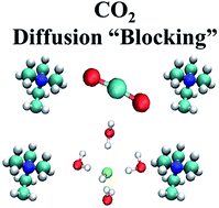 Graphical abstract: The impact of carbonation on hydroxide diffusion in nano-confined anion exchange membranes