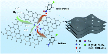 Graphical abstract: A “Trojan horse” strategy towards robust Co–N4 active sites accommodated in micropore defect-rich carbon nanosheets for boosting selective hydrogenation of nitroarenes