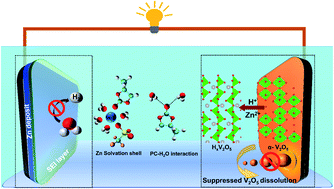 Graphical abstract: Two for one: propylene carbonate co-solvent for high performance aqueous zinc-ion batteries – remedies for persistent issues at both electrodes