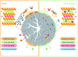 Graphical abstract: Multi-functional modification of nickel-rich lithium cathode materials using Na2PO3F