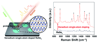 Graphical abstract: A single-atom vanadium-doped 2D semiconductor platform for attomolar-level molecular sensing