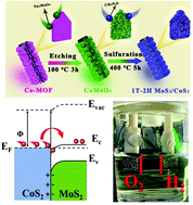 Graphical abstract: Interface-assisted phase transition in MOF-derived MoS2/CoS2 heterostructures for highly efficient dual-pH hydrogen evolution and overall water splitting