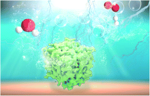 Graphical abstract: In situ phase-reconfiguration to synthesize Ru, B co-doped nickel phosphide for energy-efficient hydrogen generation in alkaline electrolytes
