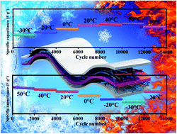 Graphical abstract: Reliable and flexible supercapacitors toward wide-temperature operation based on self-supporting SiC/CNT composite films