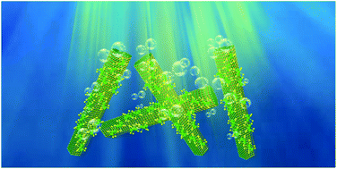 Graphical abstract: Cooperative selective benzyl alcohol oxidation and hydrogen production over Pd6(SC12H25)12 cluster-coupled CdS nanorods: the key role of water in photocatalytic benzyl alcohol splitting