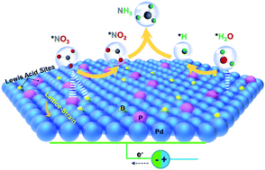 Graphical abstract: Lattice-strain and Lewis acid sites synergistically promoted nitrate electroreduction to ammonia over PdBP nanothorn arrays