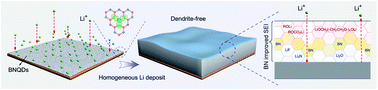 Graphical abstract: In situ regulation of dendrite-free lithium anode by improved solid electrolyte interface with defect-rich boron nitride quantum dots