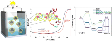 Graphical abstract: Stress induced to shrink ZIF-8 derived hollow Fe-NC supports synergizes with Pt nanoparticles to promote oxygen reduction electrocatalysis