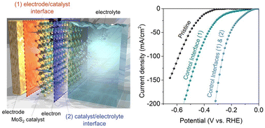 Graphical abstract: Energy level modulation of MoS2 monolayers by halide doping for an enhanced hydrogen evolution reaction