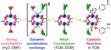 Graphical abstract: Dynamic weak coordination bonding of chlorocarbons enhances the catalytic performance of a metal–organic framework material