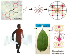 Graphical abstract: An extremely transparent and multi-responsive healable hydrogel strain sensor