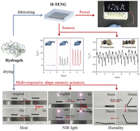 Graphical abstract: A novel smart composite: from self-powered sensors to multi-responsive shape memory actuators