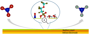 Graphical abstract: Membrane-modified electrocatalysts for nitrate reduction to ammonia with high faradaic efficiency