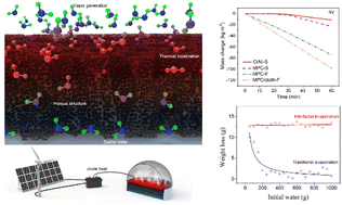 Graphical abstract: Electrically powered artificial black body for low-voltage high-speed interfacial evaporation