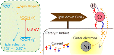 Graphical abstract: Spin evolution and flip in the oxygen reduction reaction: a theoretical study of Cu(Ni)XP2S6 (X = In, Bi and Cr)